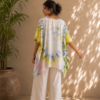 TD poncho3