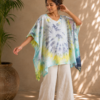TD poncho3a